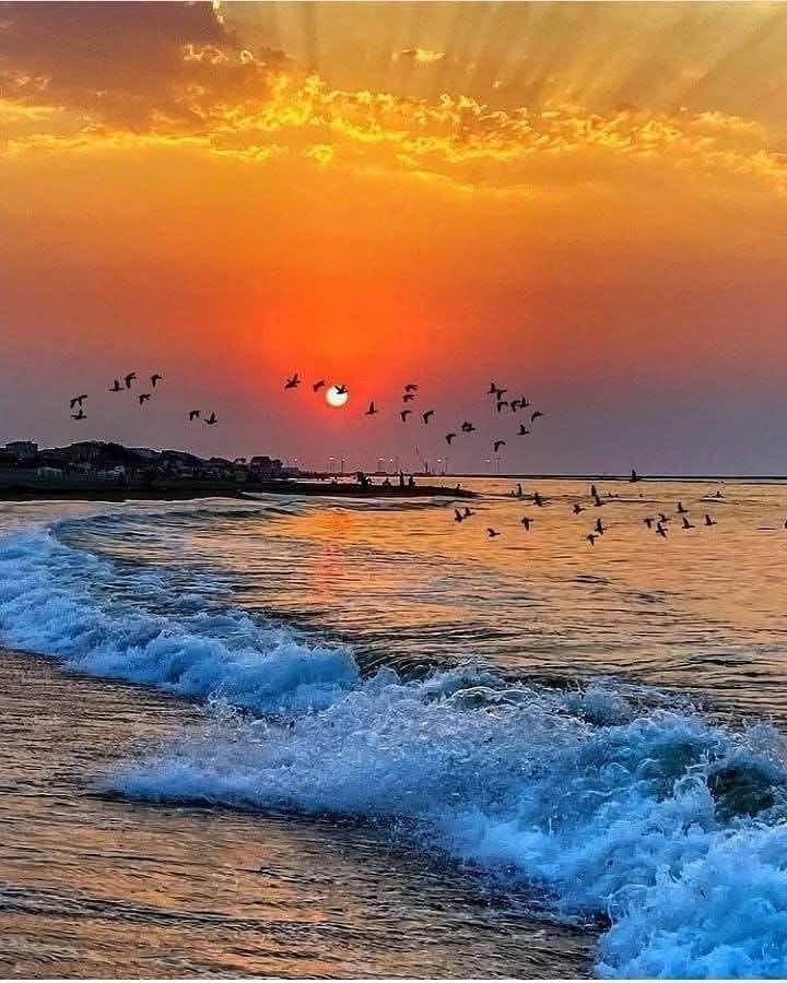 Mandvi Beach – Kutch
